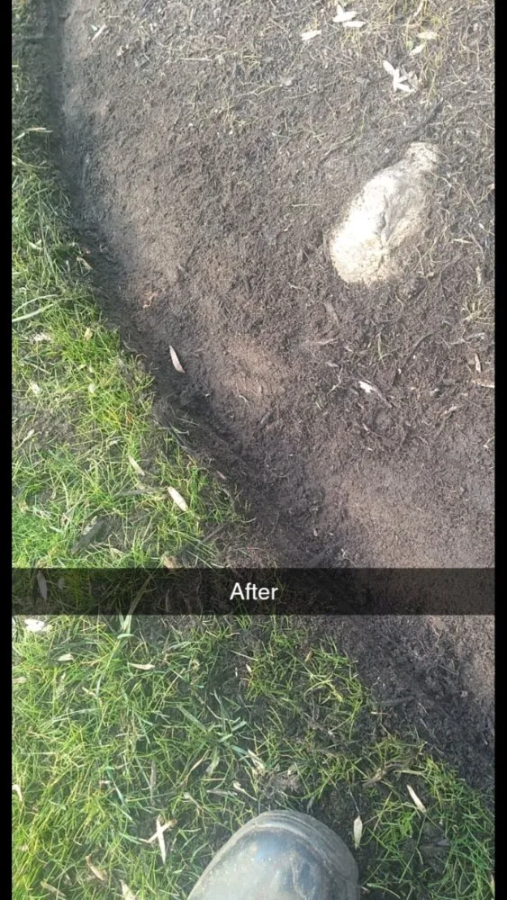 Professional yard maintenance for year-round maintenance across Newport News, VA - Brandon Precision Landscaping