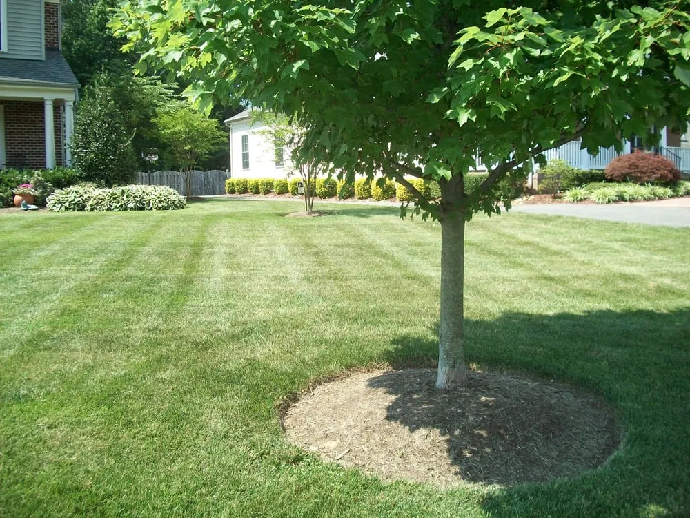 Local outdoor landscaping in Lorton, VA by Brandon Rushing Lawn & Garden Care