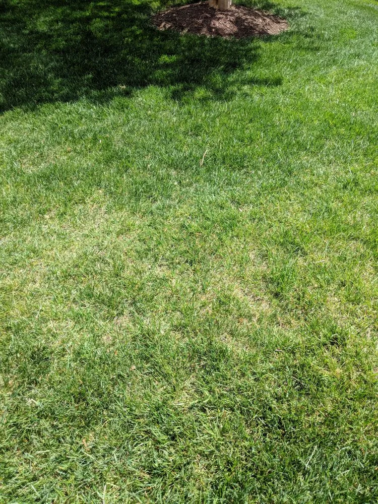 Professional landscape design in Lorton, VA - Brandon Rushing Lawn & Garden Care