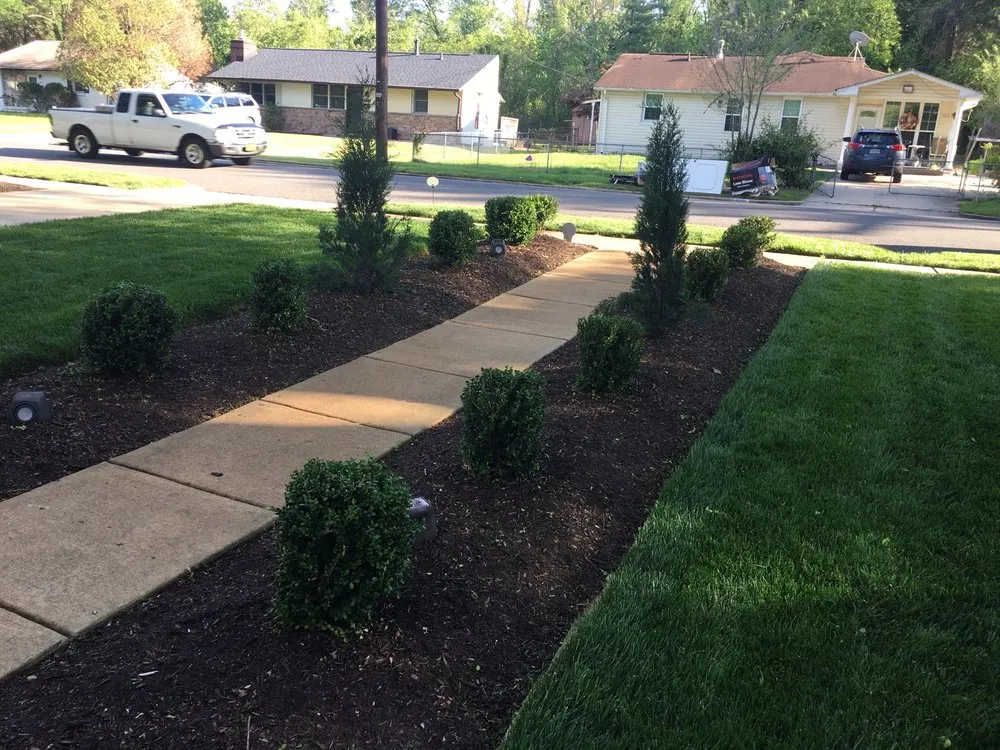 Expert yard cleanup service in Lorton, VA by Brandon Rushing Lawn & Garden Care