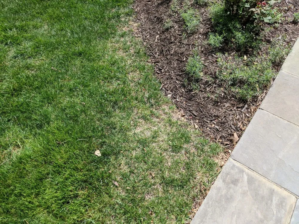 Trusted garden landscaping in Lorton, VA - Brandon Rushing Lawn & Garden Care