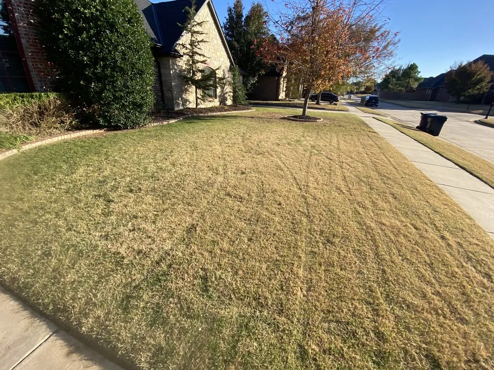 Custom landscape design experts serving Edmond, OK - Brandon Seasonal Solutions