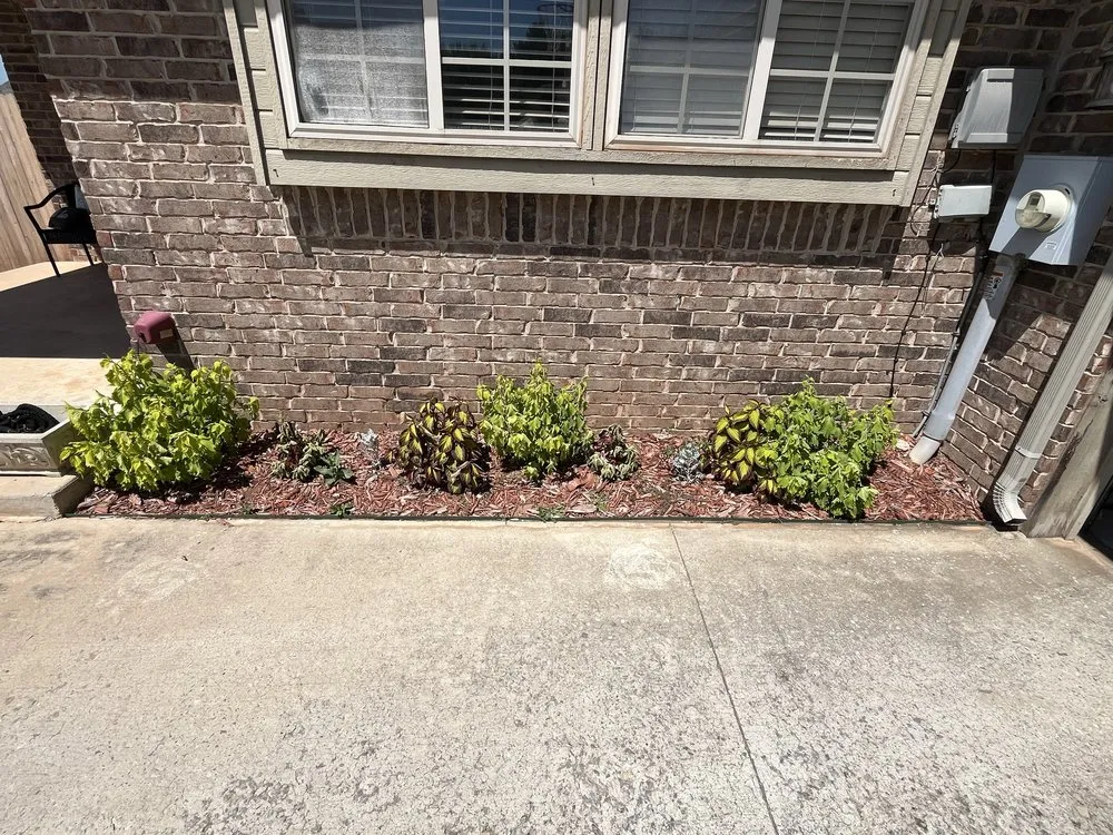 Expert landscaping services in Edmond, OK - Brandon Seasonal Solutions