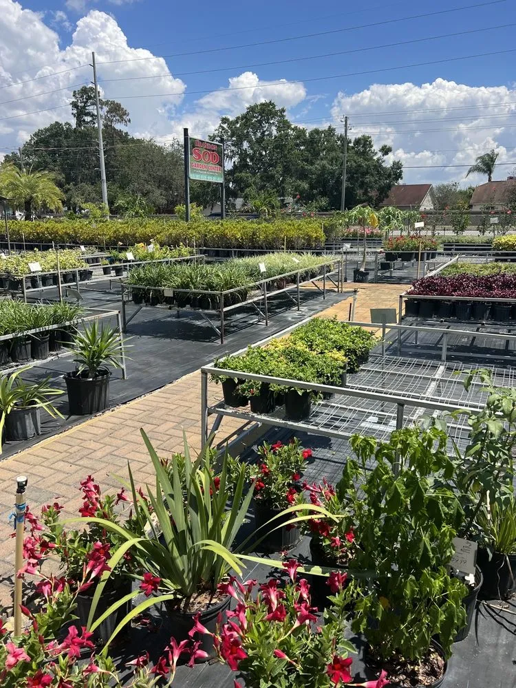 Reliable yard cleanup service in Riveriew, FL by Brandon Sod