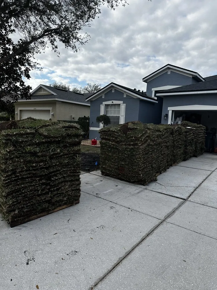 Expert yard cleanup service experts serving Riveriew, FL - Brandon Sod
