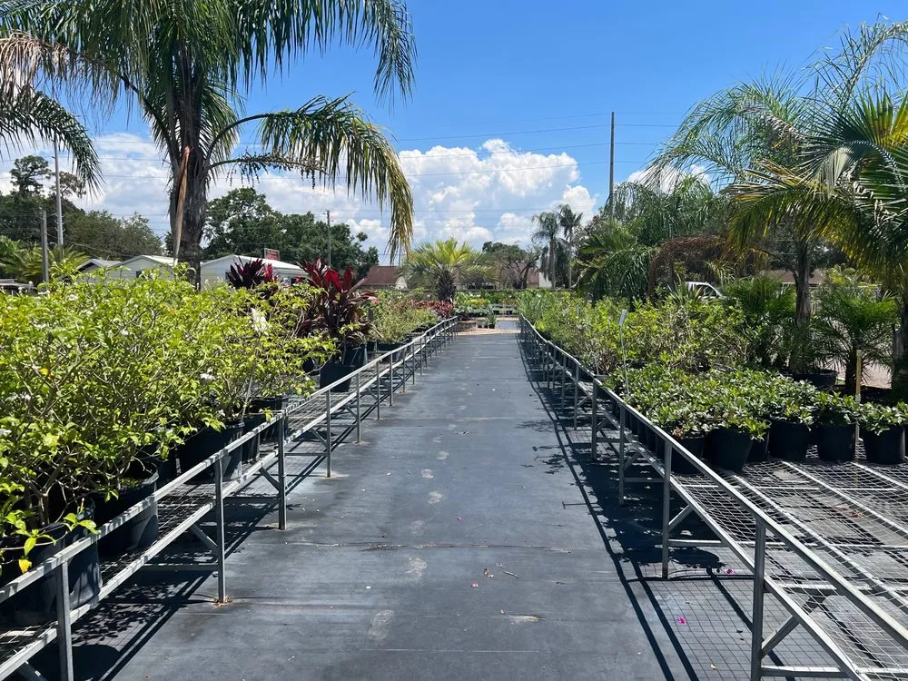 Custom garden landscaping in Riveriew, FL by Brandon Sod