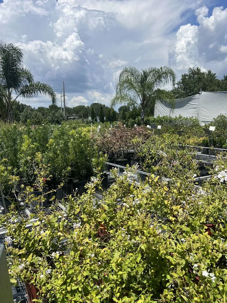 Trusted yard cleanup service in Riveriew, FL - Brandon Sod