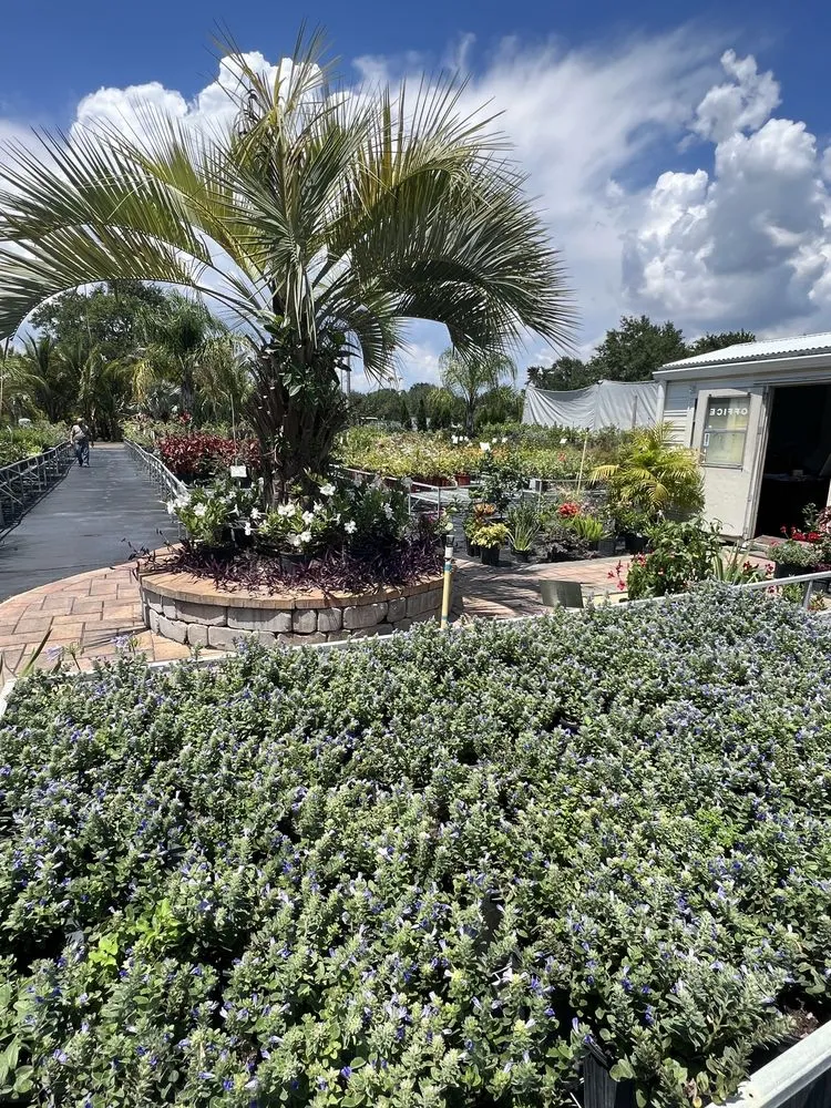 Expert landscape installation for residential properties in Riveriew, FL by Brandon Sod