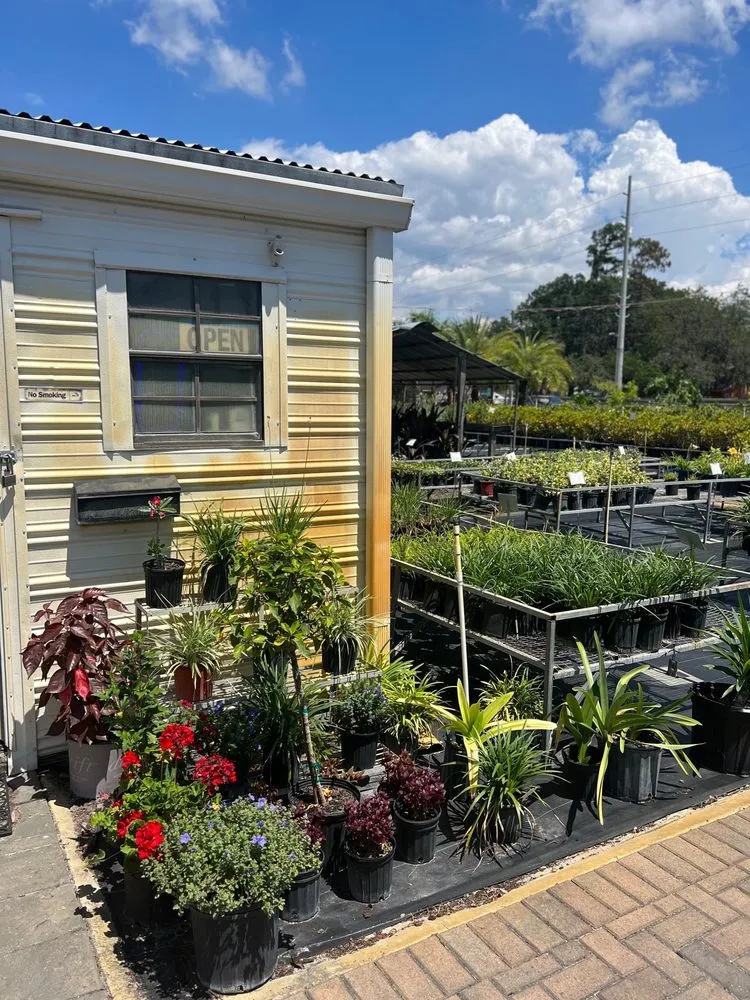 Reliable lawn mowing service for year-round maintenance across Riveriew, FL - Brandon Sod