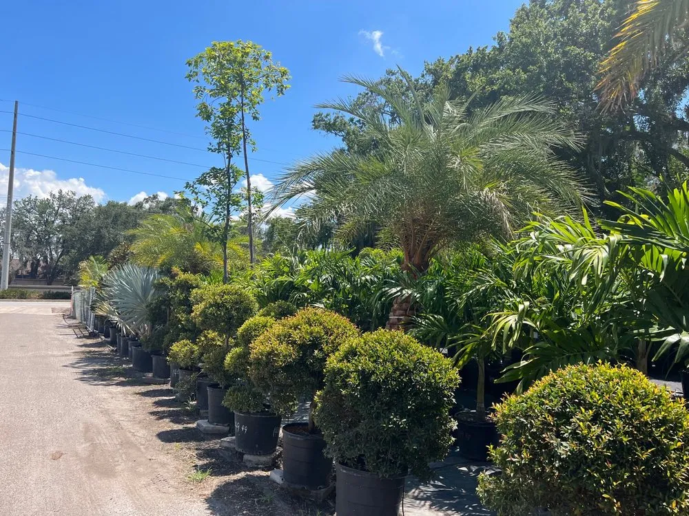 Affordable yard cleanup service with custom design across Riveriew, FL - Brandon Sod