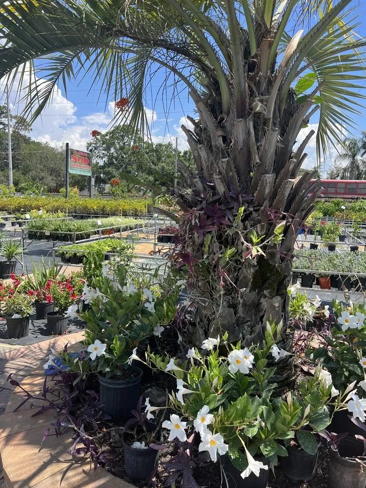 Expert residential landscaping experts serving Riveriew, FL - Brandon Sod