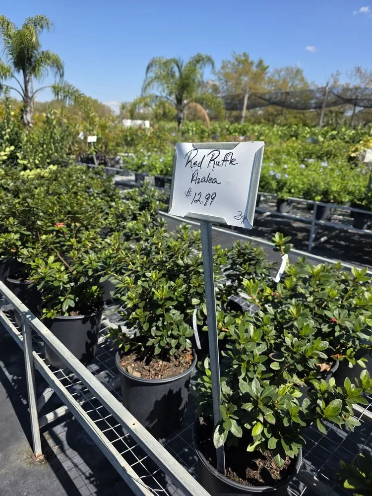 Expert outdoor landscaping in Riveriew, FL - Brandon Sod