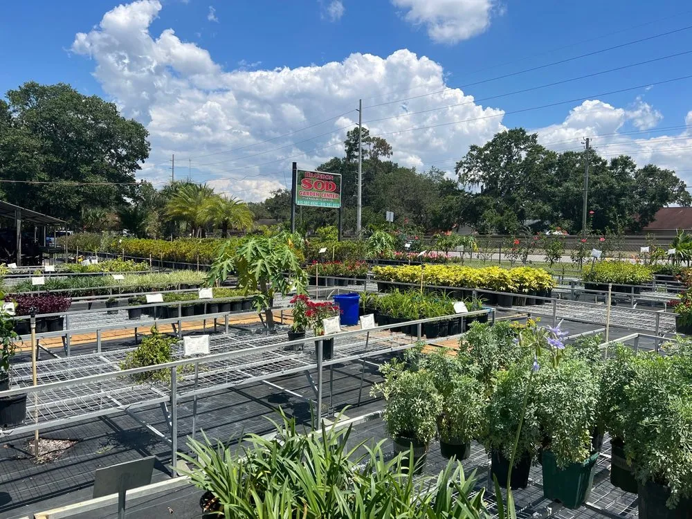 Professional outdoor landscaping experts serving Riveriew, FL - Brandon Sod