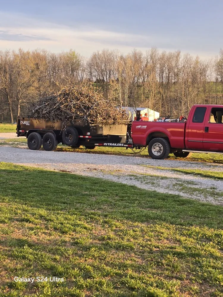 Trusted outdoor landscaping for beautiful yards across O Fallon, MO - Brandon trees