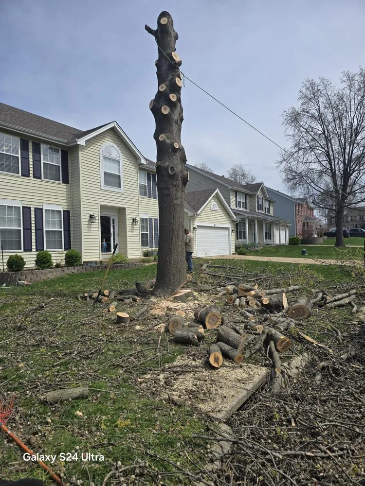 Local residential landscaping for year-round maintenance in O Fallon, MO by Brandon trees