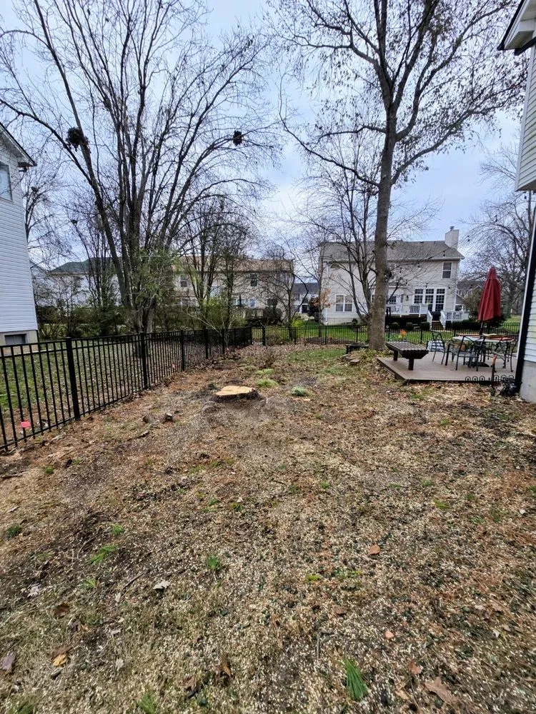 Expert residential landscaping near you across O Fallon, MO - Brandon trees