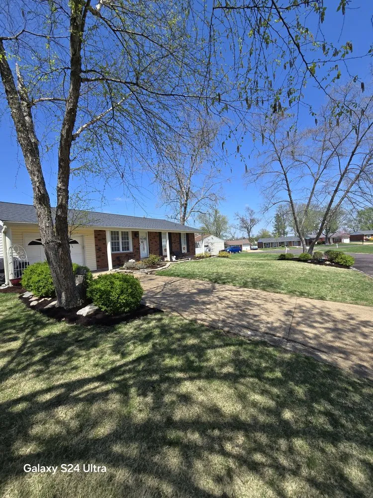 Custom outdoor landscaping in O Fallon, MO - Brandon trees