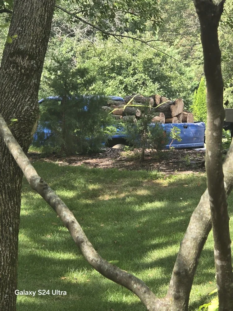 Reliable lawn mowing service in O Fallon, MO - Brandon trees