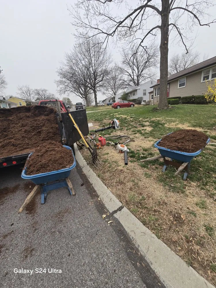 Trusted landscape installation experts serving O Fallon, MO - Brandon trees