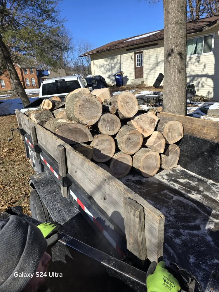 Expert outdoor landscaping with custom design across O Fallon, MO - Brandon trees