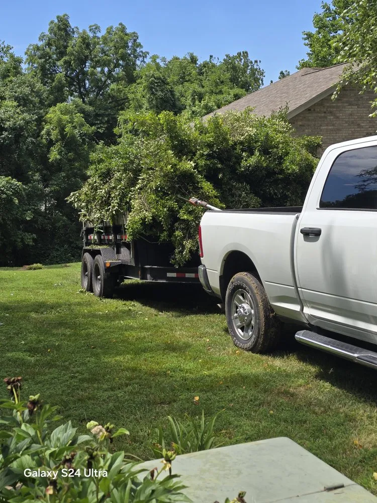 Trusted yard maintenance in O Fallon, MO - Brandon trees