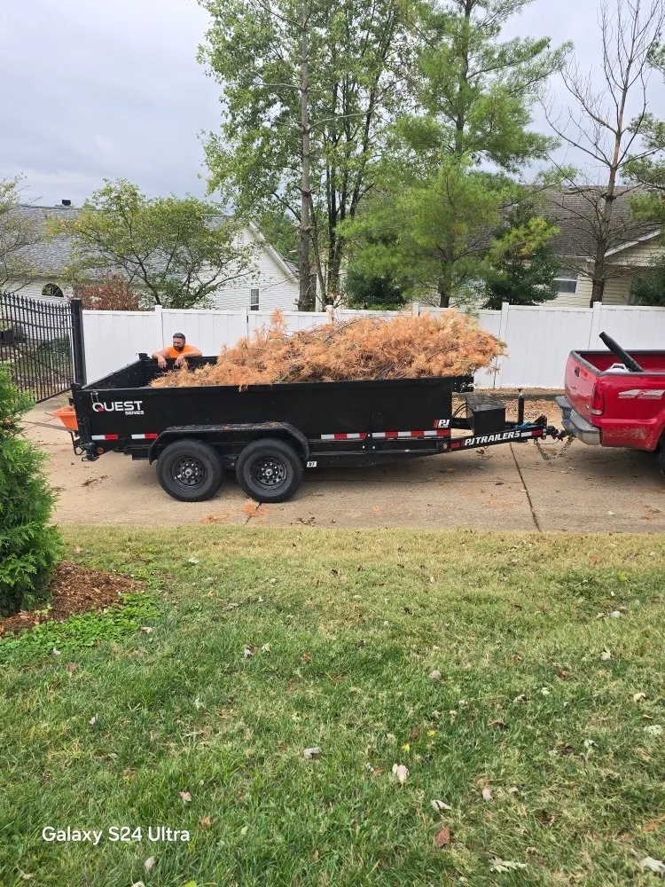 Affordable residential landscaping experts serving O Fallon, MO - Brandon trees