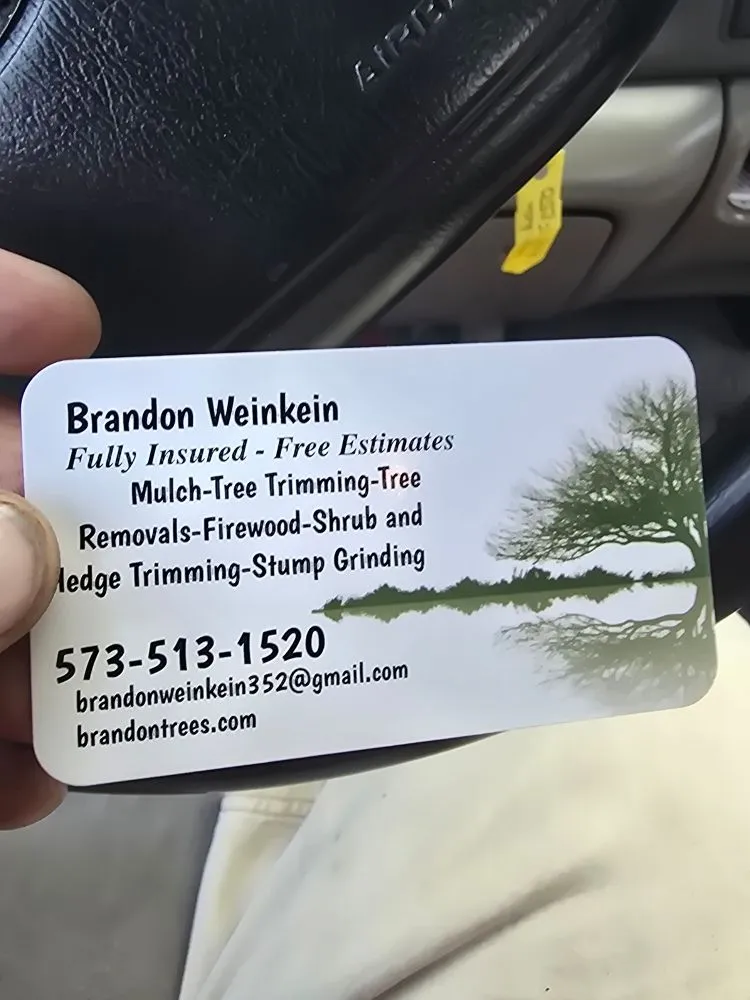 Affordable lawn care service experts serving O Fallon, MO - Brandon trees