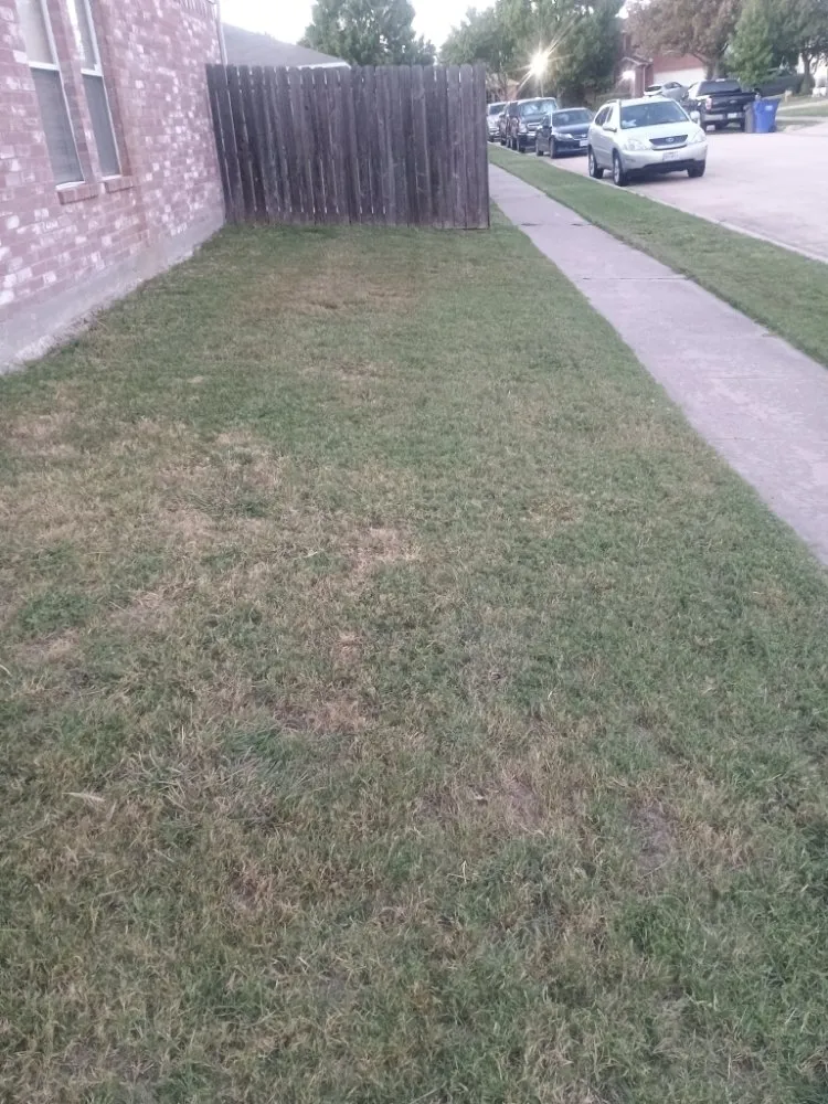 Professional landscape installation experts serving Little Elm, TX - Brandon's Cut and Go