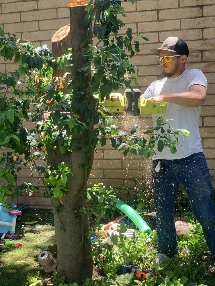 Expert landscape installation for homes in Midland, TX by Brandon's Knockabout Services