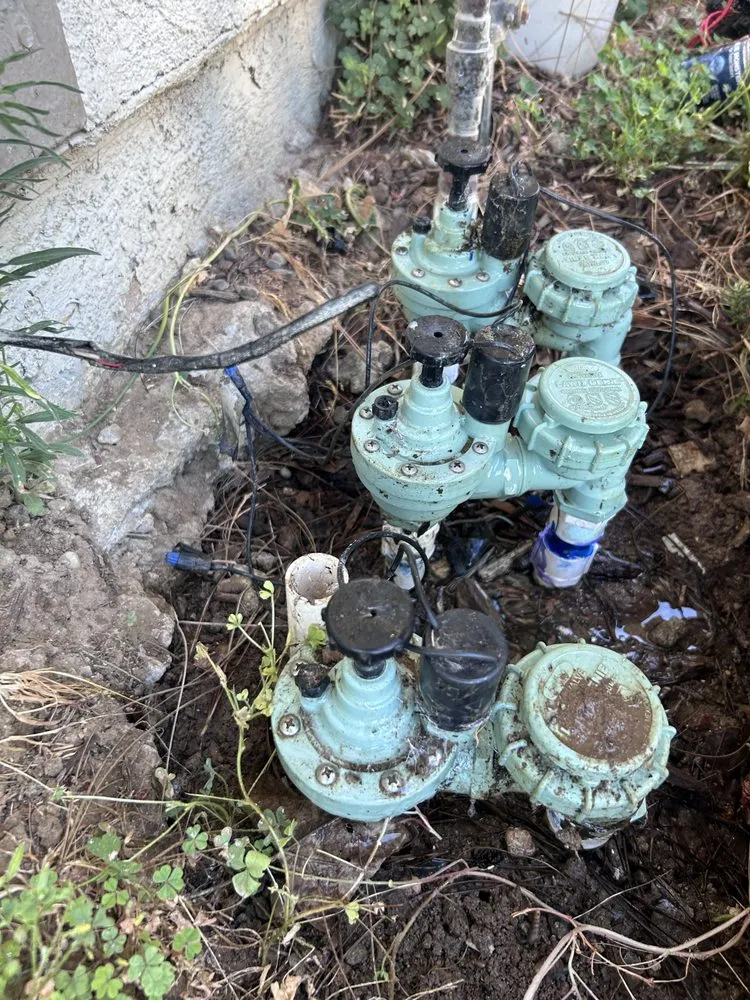 Trusted landscape design in Riverside, CA by Brandon’s Landscape