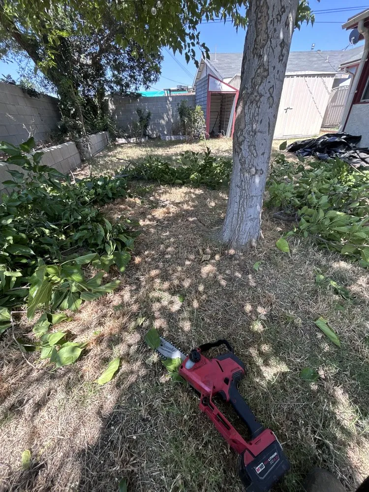 Custom landscape installation for year-round maintenance in Riverside, CA by Brandon’s Landscape