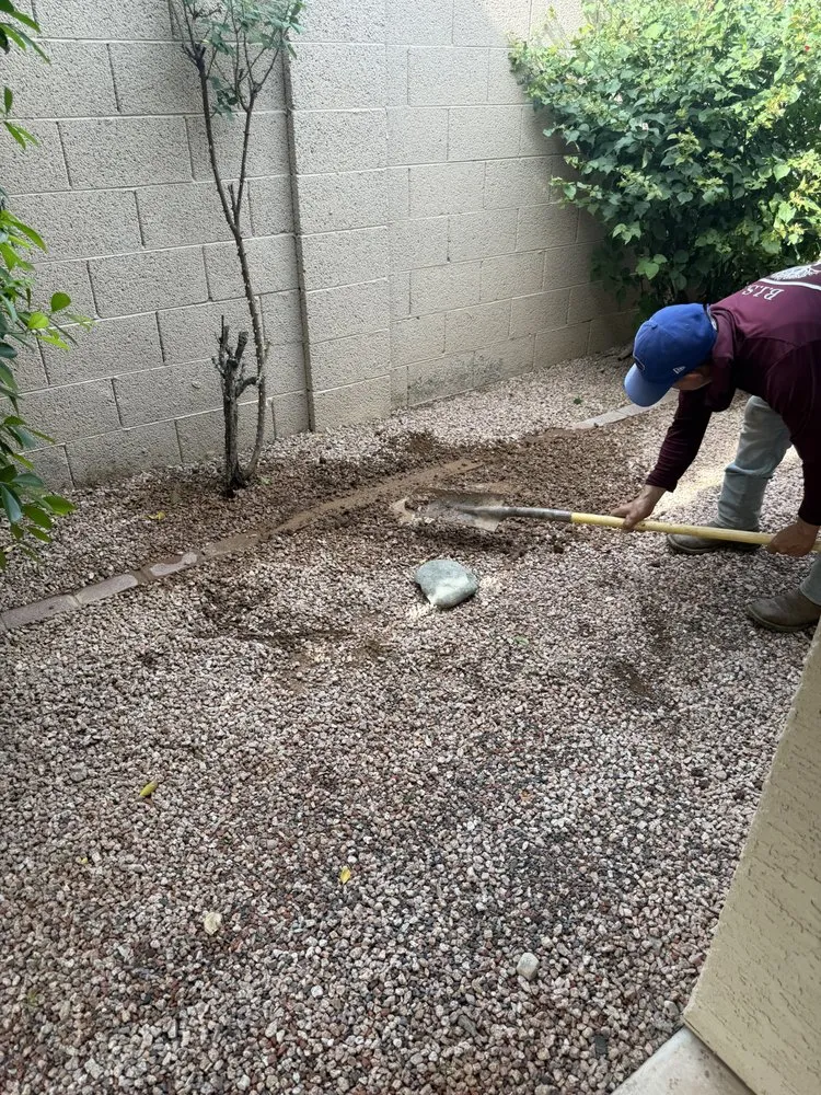 Trusted landscape design experts serving Glendale, AZ - Brandon’s Landscape Services