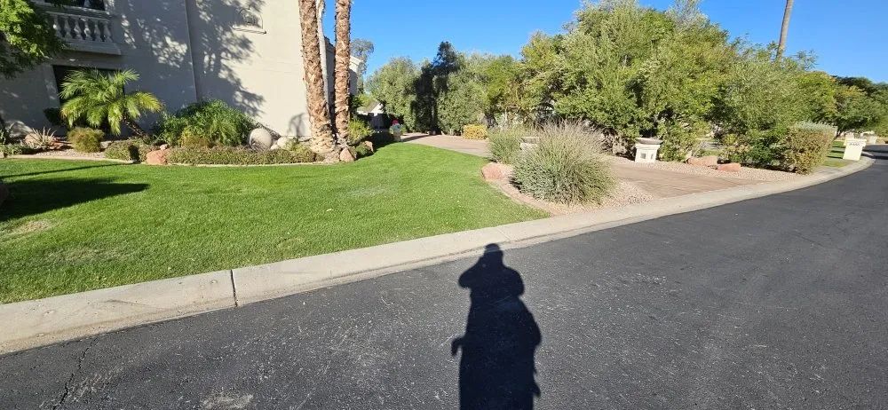 Affordable landscaping services experts serving Glendale, AZ - Brandon’s Landscape Services