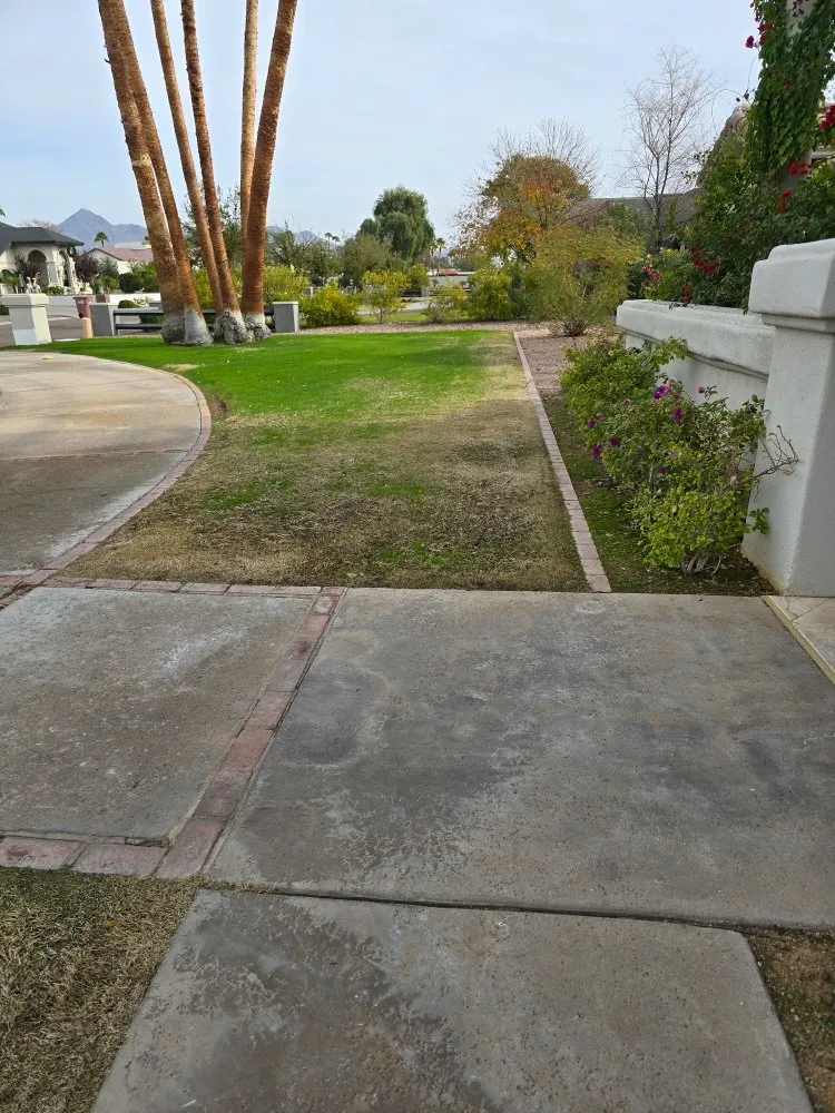 Expert garden landscaping near you across Glendale, AZ - Brandon’s Landscape Services