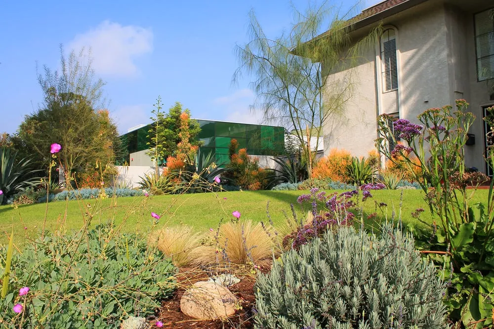 Expert yard maintenance for residential properties in Monrovia, CA by Brandon's Landscapes