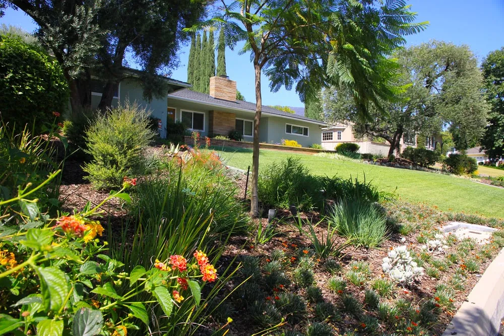 Professional landscaping services in Monrovia, CA - Brandon's Landscapes