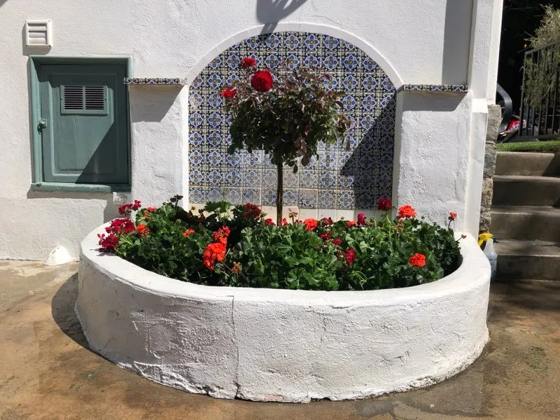 Custom landscape design in Monrovia, CA by Brandon's Landscapes