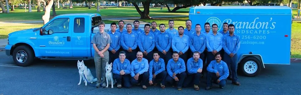 Expert lawn care service experts serving Monrovia, CA - Brandon's Landscapes