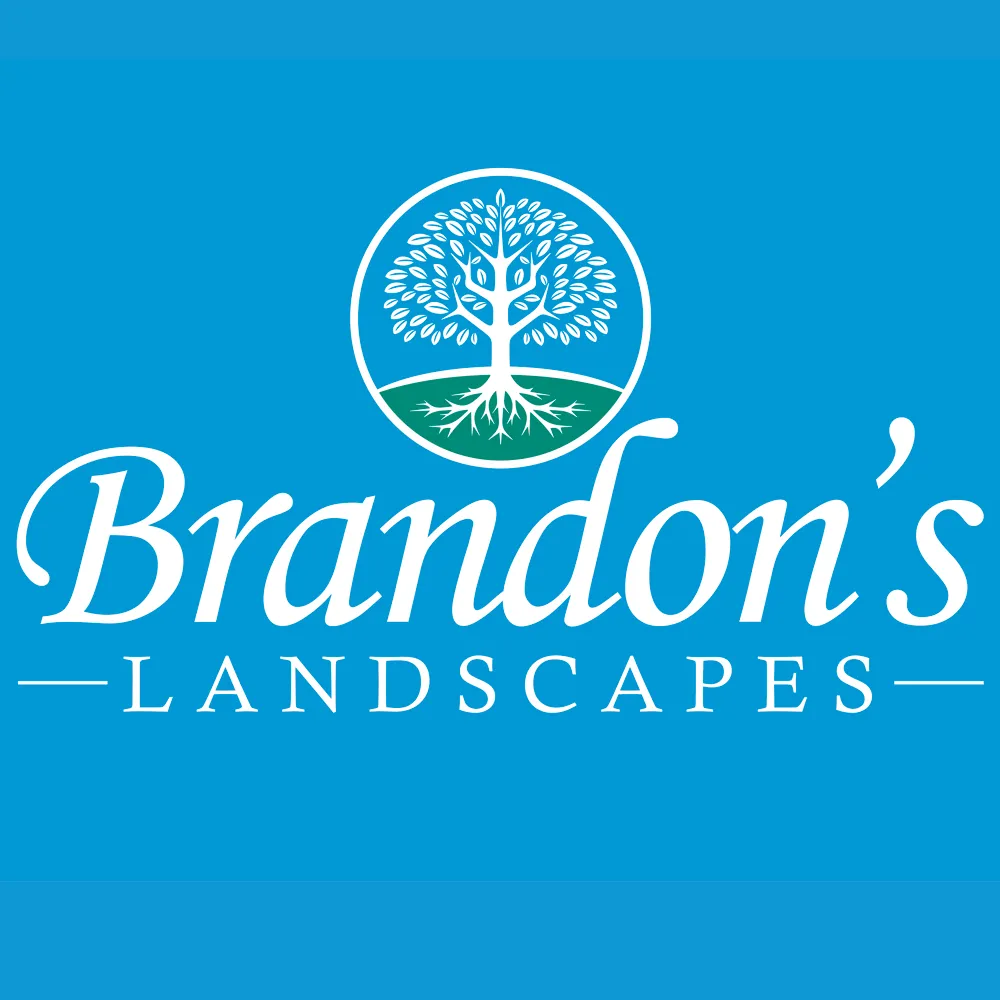 Trusted yard maintenance experts serving Monrovia, CA - Brandon's Landscapes