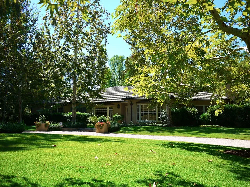 Expert yard maintenance for beautiful yards in Monrovia, CA by Brandon's Landscapes