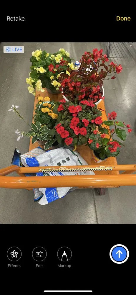 Expert garden landscaping in Akron, OH - Brandon’s Landscaping