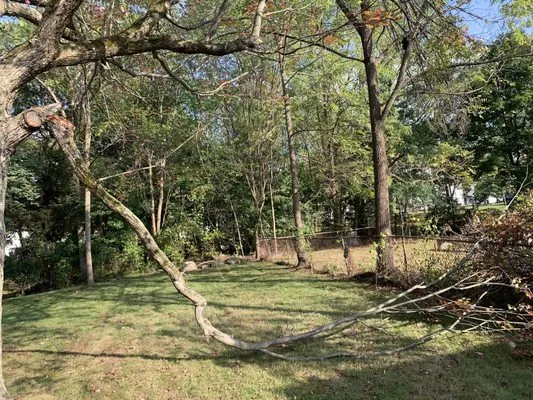 Brandon’s Landscaping