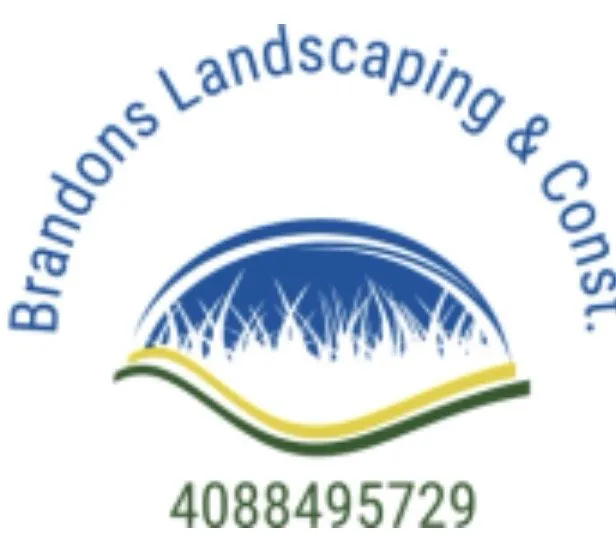 Professional yard maintenance for year-round maintenance in San Jose, CA by Brandons Landscaping and Construction
