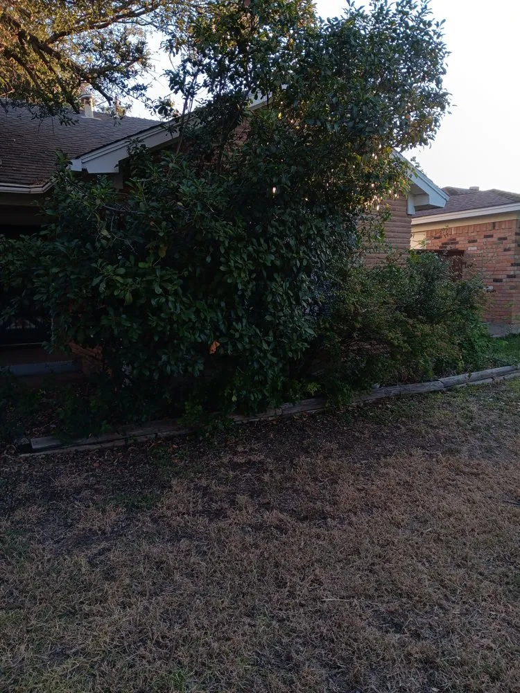 Reliable outdoor landscaping for outdoor upgrades in Arlington, TX by Brandon's landscaping