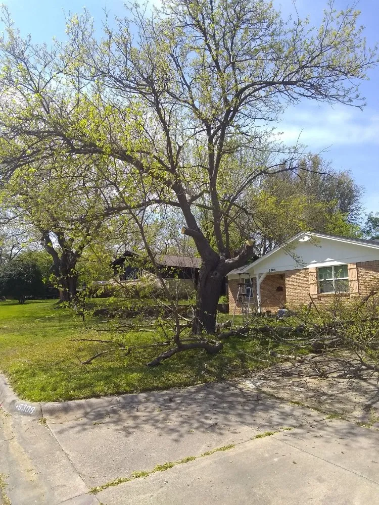 Local yard maintenance in Arlington, TX - Brandon's landscaping