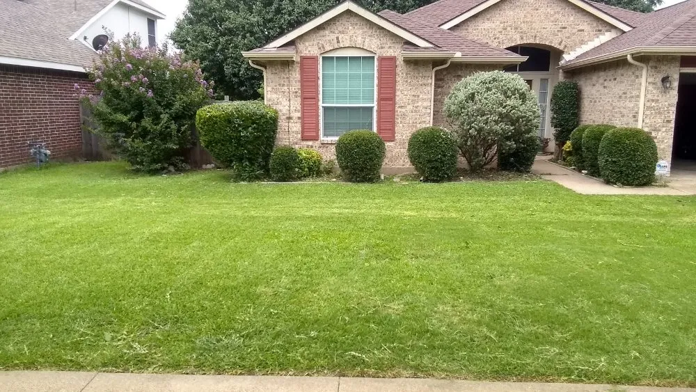 Expert outdoor landscaping for homes in Arlington, TX by Brandon's landscaping