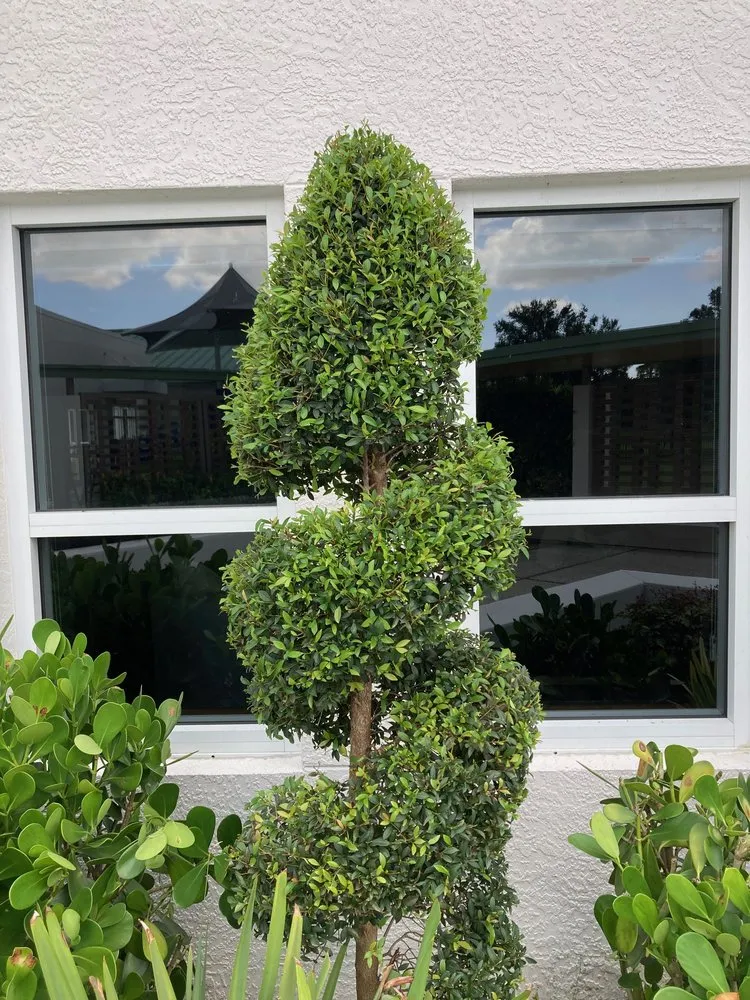 Professional lawn mowing service for outdoor upgrades across Butler, PA - Brandon's Lawn-Care And Gardening Services