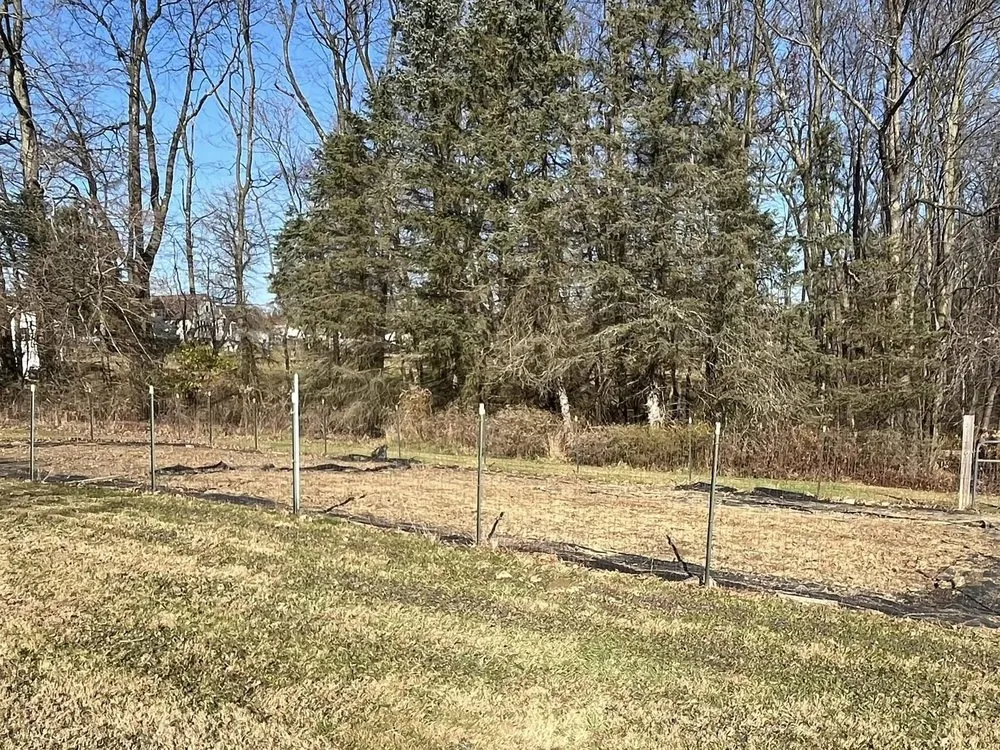 Reliable yard maintenance for residential properties across Butler, PA - Brandon's Lawn-Care And Gardening Services