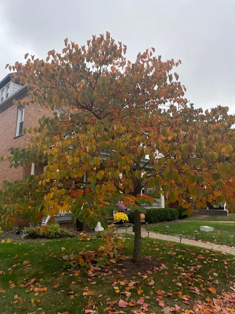 Trusted landscape installation near you across Butler, PA - Brandon's Lawn-Care And Gardening Services