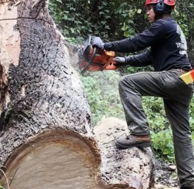 Custom garden landscaping in Lecanto, FL - Brandon's Lawn Care and Maintenance